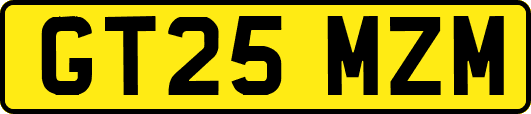 GT25MZM