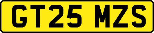 GT25MZS