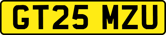 GT25MZU