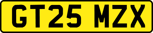 GT25MZX