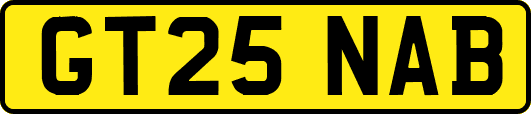 GT25NAB
