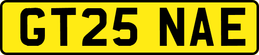 GT25NAE