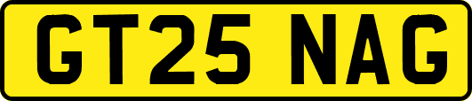 GT25NAG