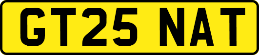 GT25NAT