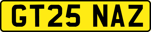 GT25NAZ