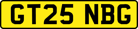GT25NBG
