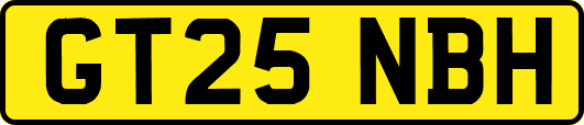 GT25NBH