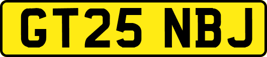 GT25NBJ