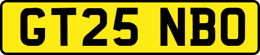 GT25NBO