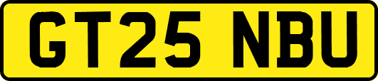 GT25NBU