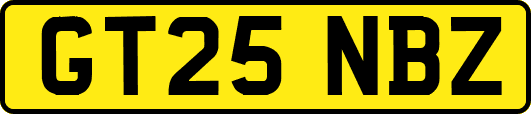 GT25NBZ