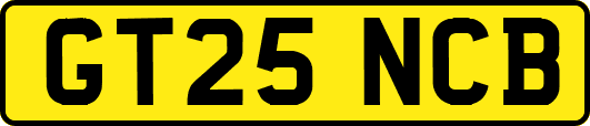 GT25NCB