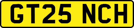 GT25NCH