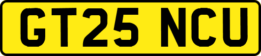 GT25NCU
