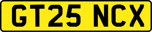 GT25NCX