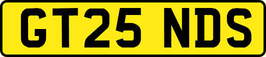 GT25NDS
