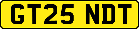 GT25NDT