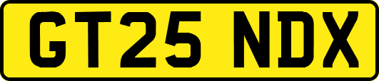 GT25NDX