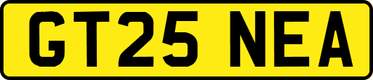 GT25NEA