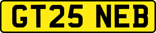 GT25NEB