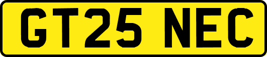 GT25NEC
