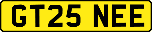 GT25NEE