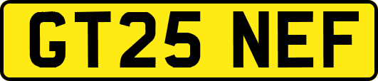 GT25NEF