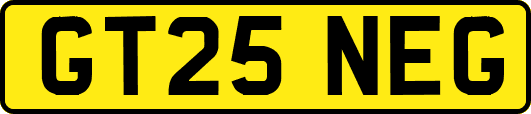 GT25NEG