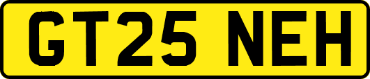GT25NEH