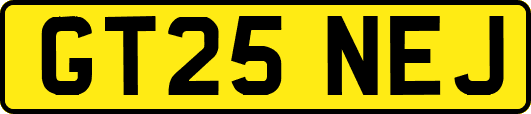 GT25NEJ