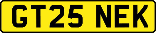 GT25NEK