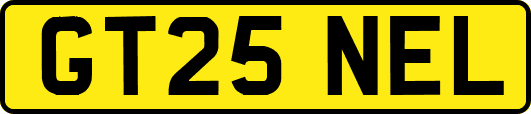 GT25NEL