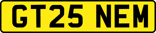 GT25NEM