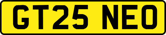 GT25NEO