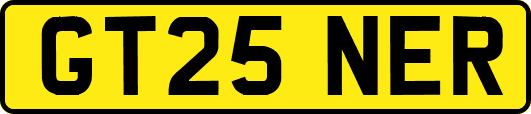GT25NER