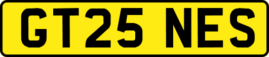 GT25NES
