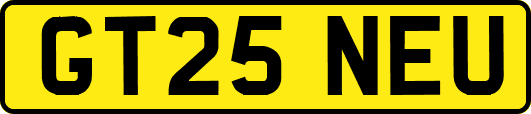 GT25NEU