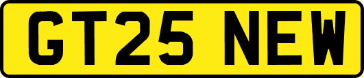 GT25NEW