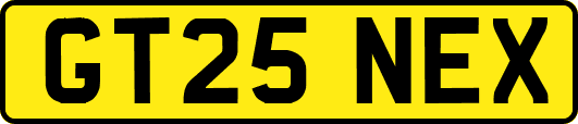 GT25NEX