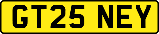 GT25NEY