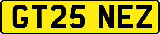 GT25NEZ