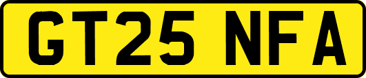 GT25NFA