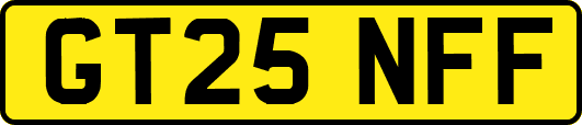 GT25NFF