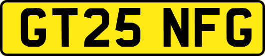 GT25NFG