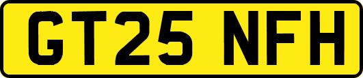 GT25NFH