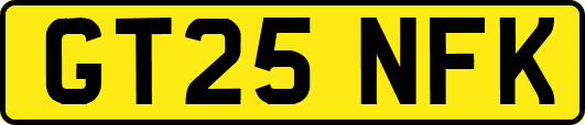 GT25NFK