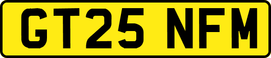 GT25NFM