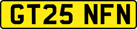 GT25NFN