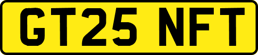 GT25NFT