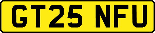 GT25NFU